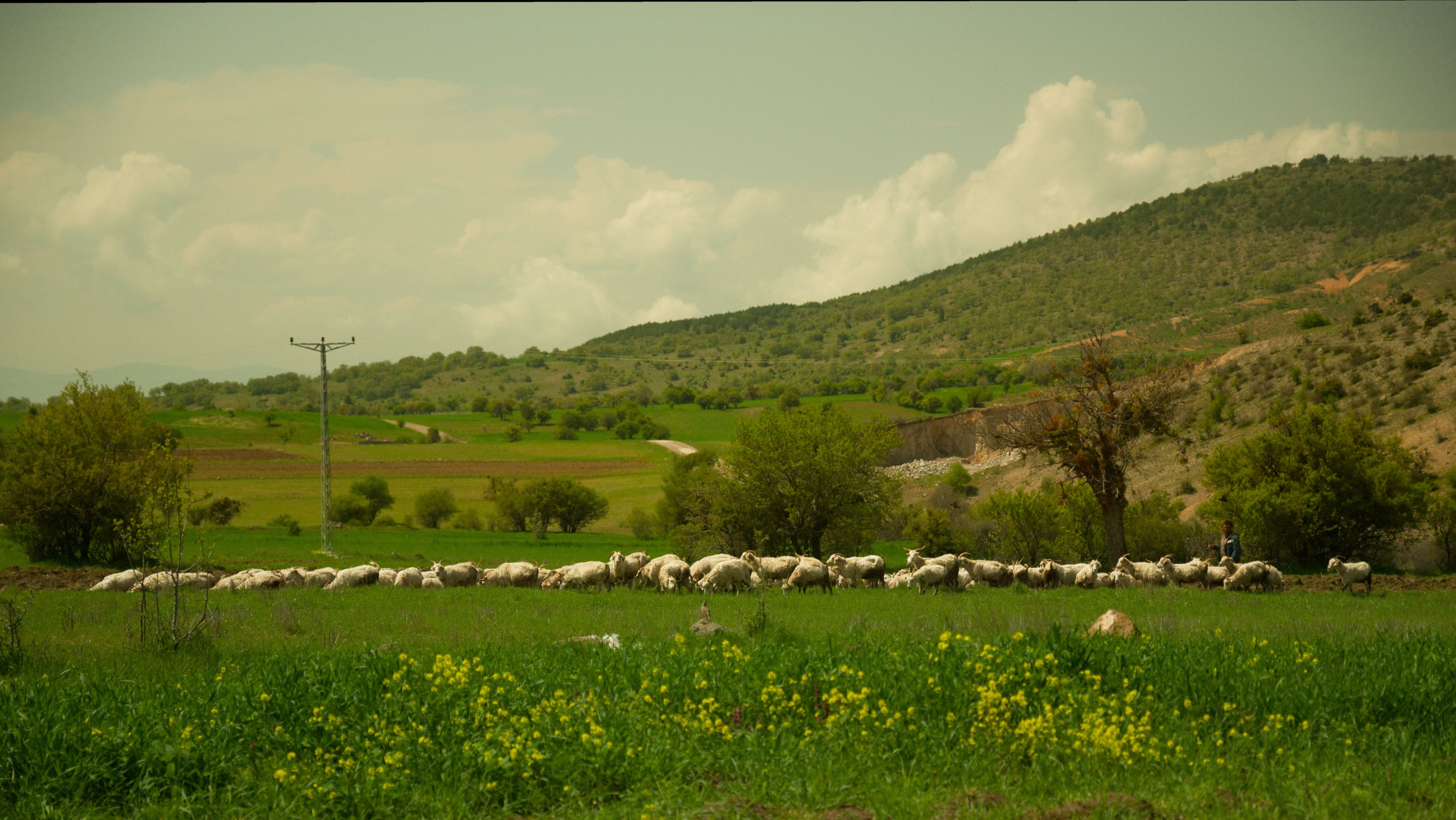 Airport transfers in Western Anatolia