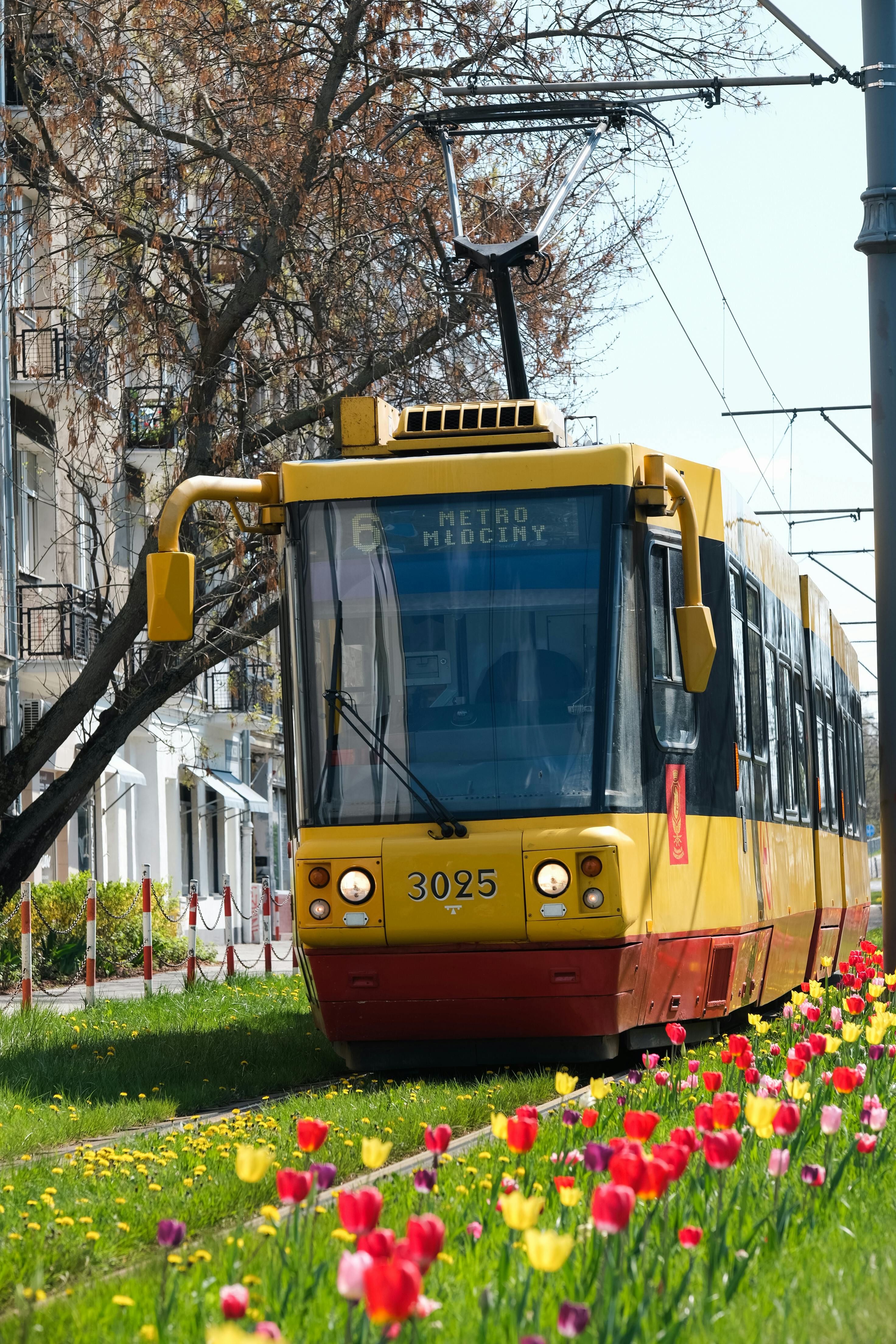 A vibrant tram travels through colorful tulip-lined tracks amidst a bustling city in spring.