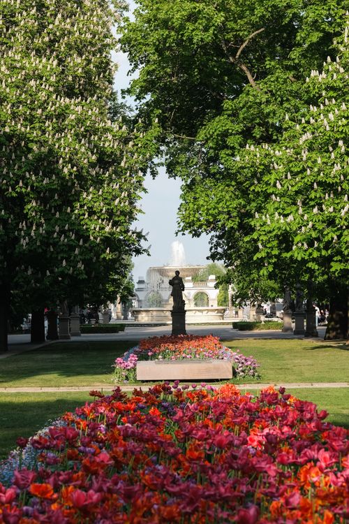 Free Vibrant garden path with blooming flowers leading to a fountain amidst lush green trees. Stock Photo