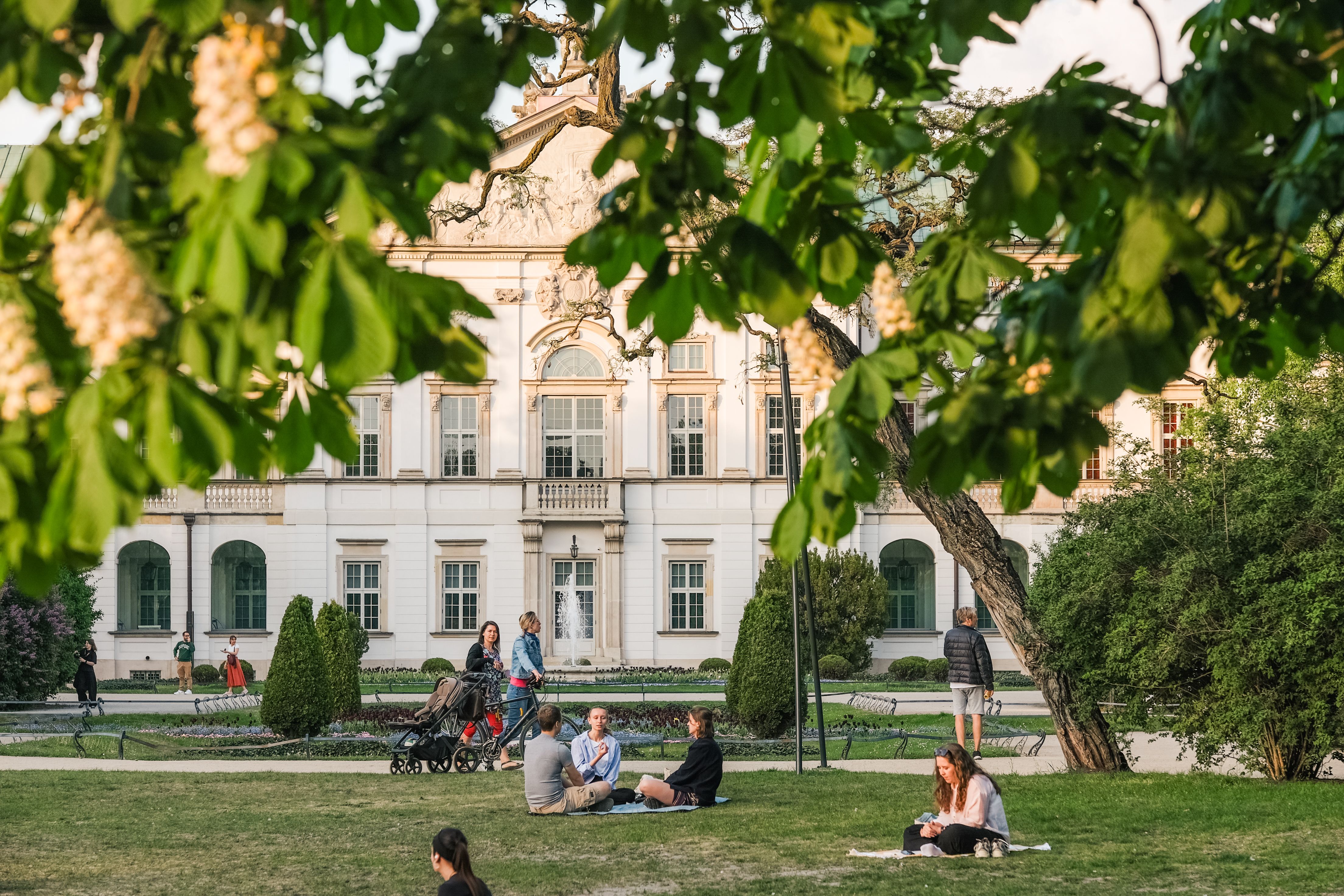 Cómo prevenir las infecciones por mosquitos en verano 2026