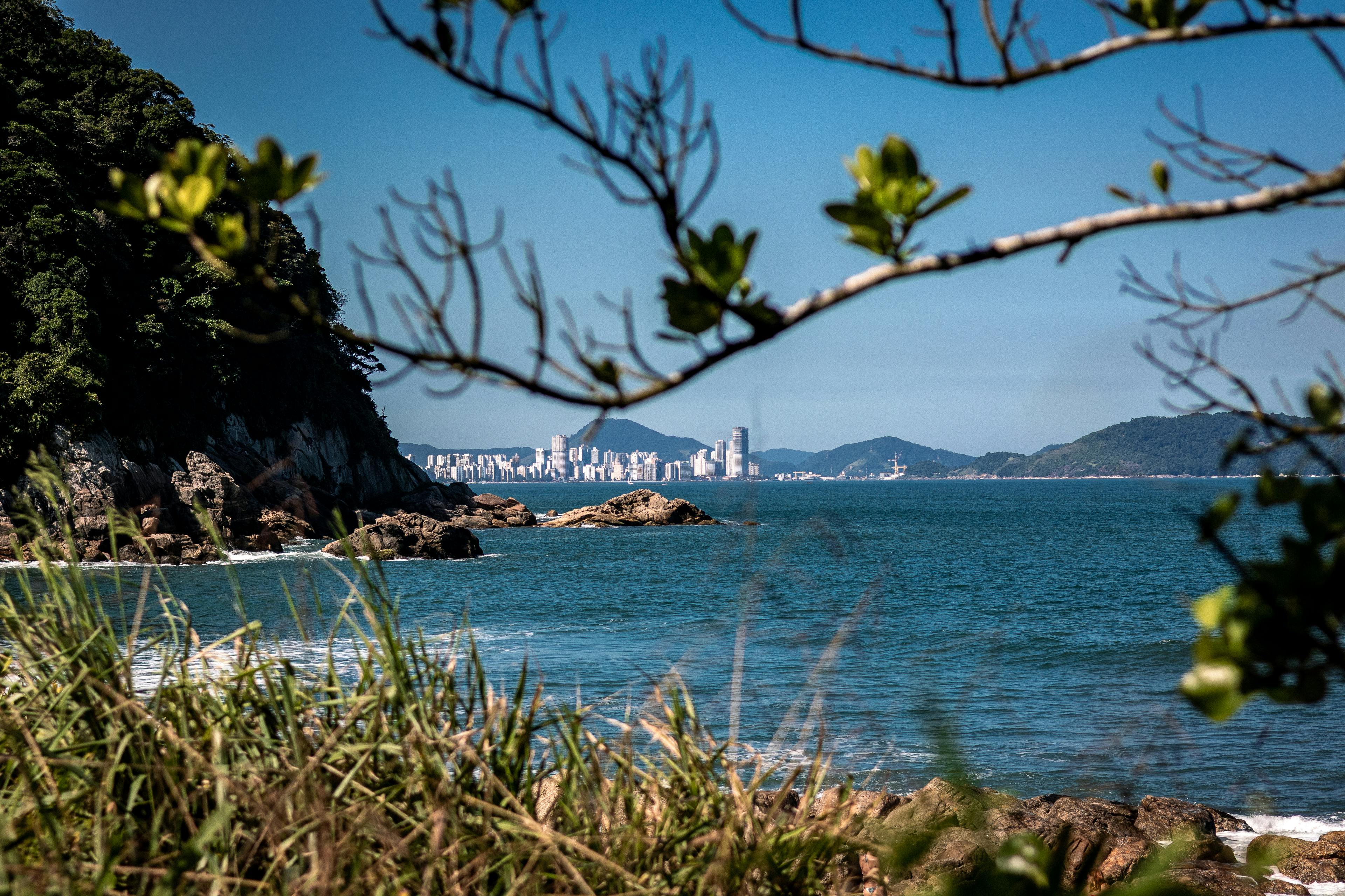 Peaceful ocean view framed by greenery with a distant cityscape under a clear blue sky.