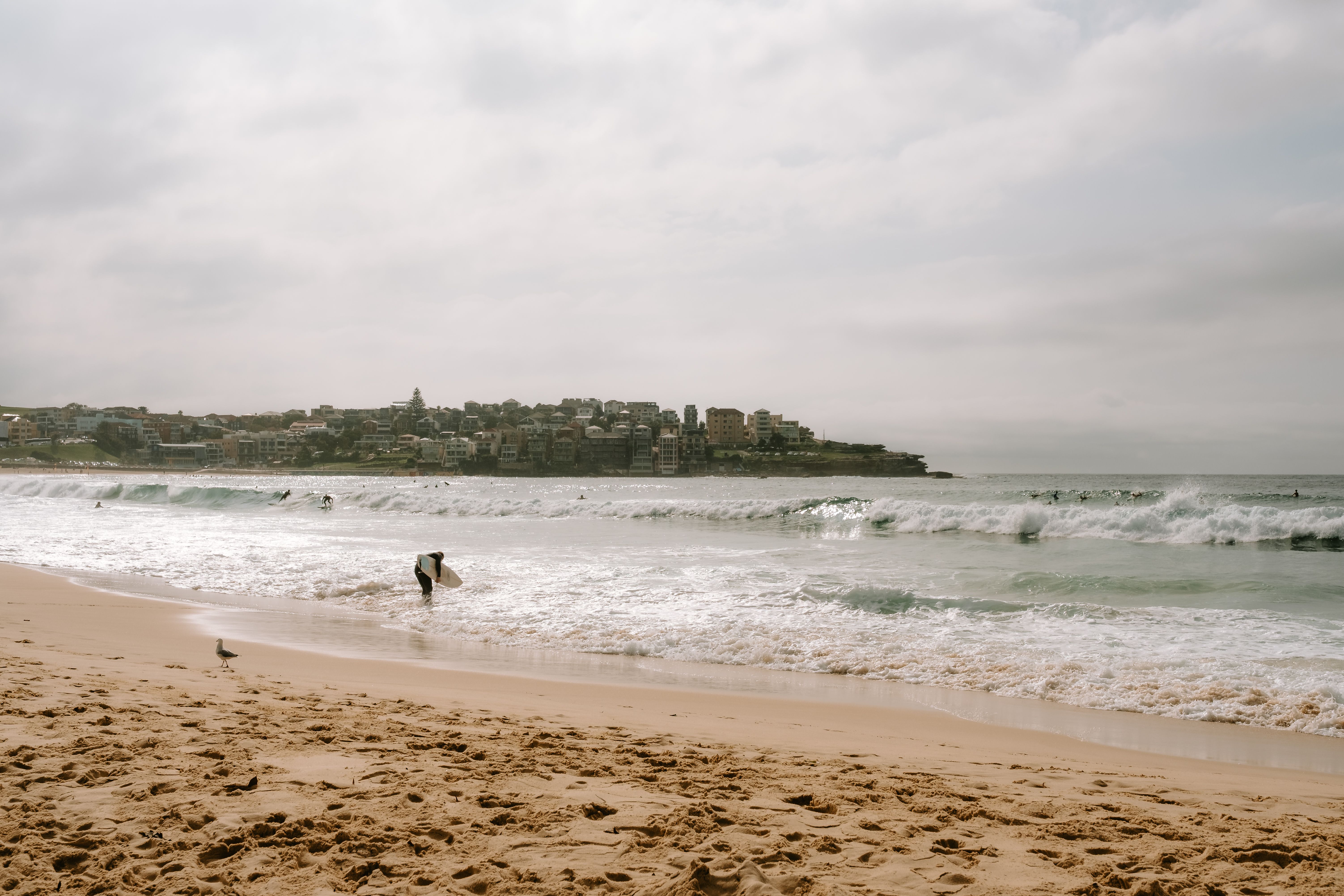 Surf Schools Sydney