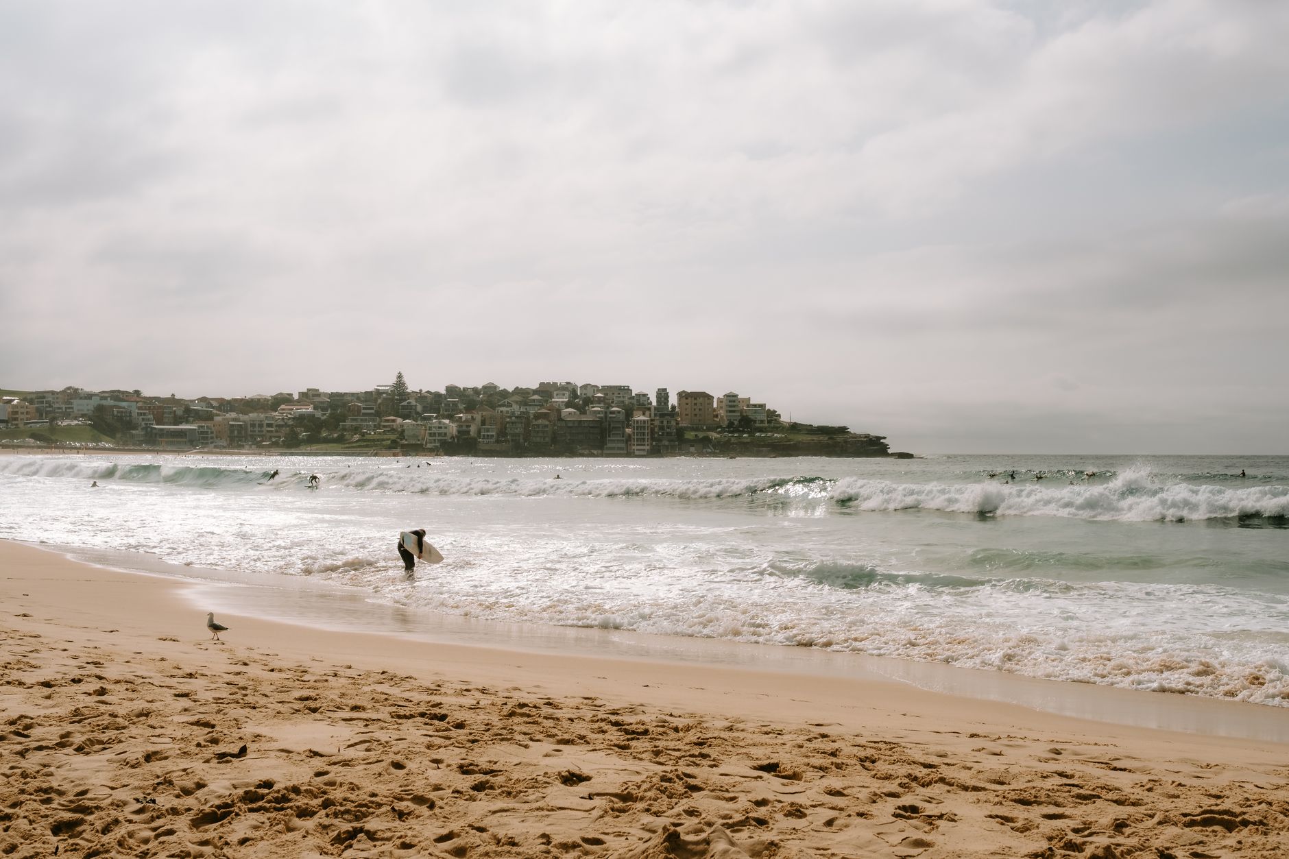 bondi beach sydney waves surfers aerial australia