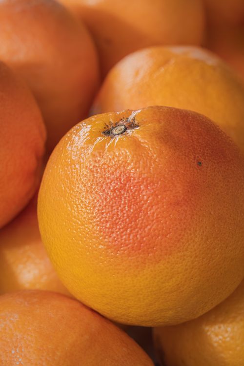 Free Close-up view of fresh and ripe grapefruits with a detailed texture and vibrant color. Stock Photo