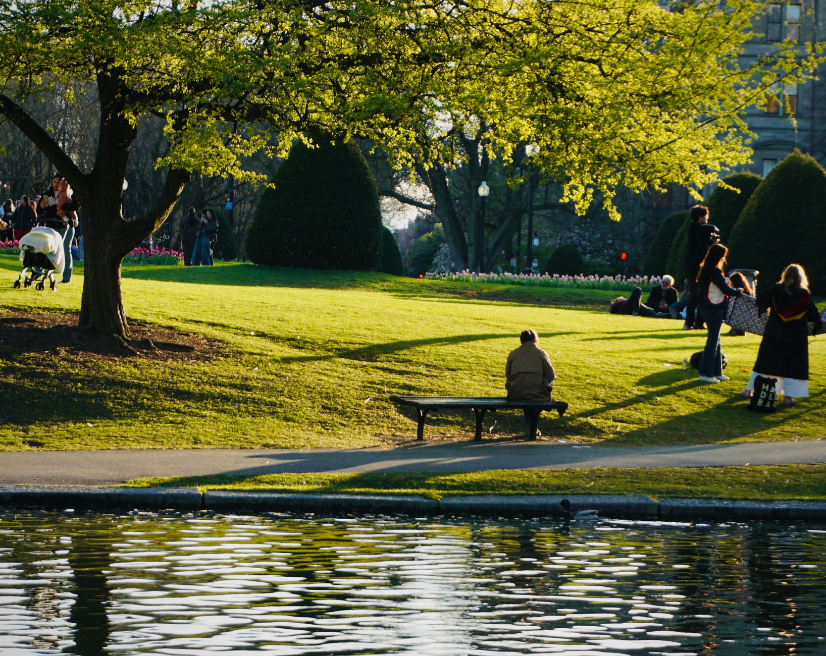 Boston Public Garden