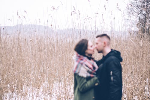 Immagine gratuita di adulto, amore, bacio