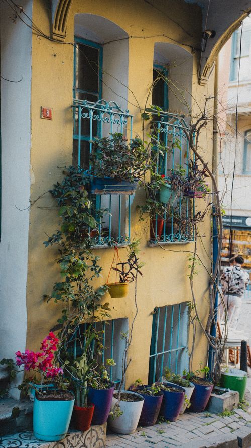 Free A vibrant yellow building in İstanbul adorned with colorful potted plants, creating a lively street scene. Stock Photo