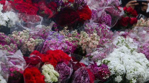 Free Colorful assortment of flowers at an outdoor market in Istanbul. Stock Photo