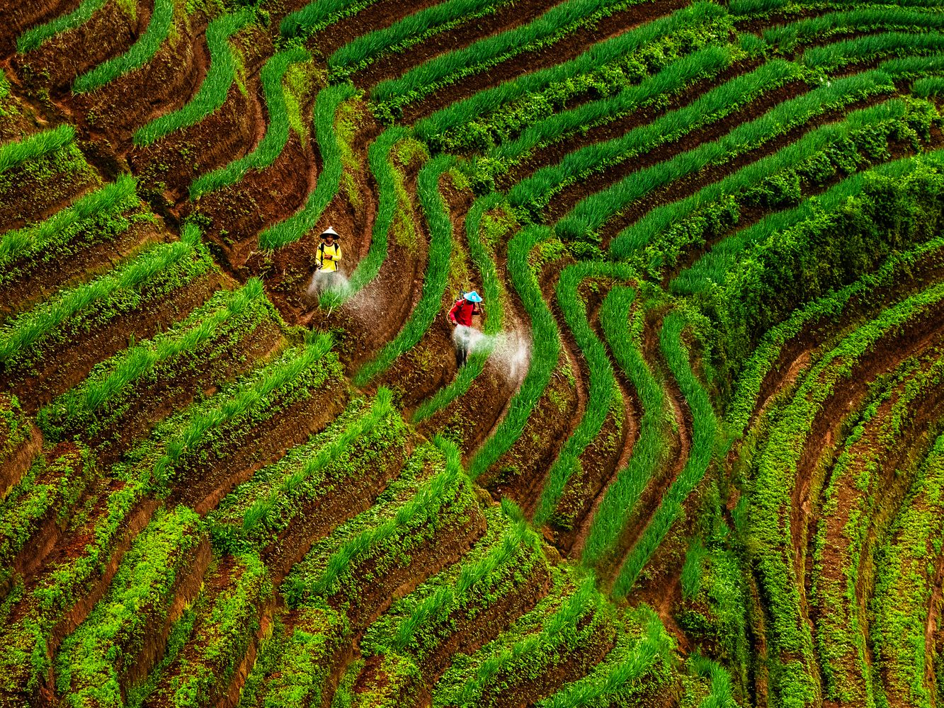 4,000+ 張最佳農耕相片· 100% 免費下載· Pexels 圖庫相片