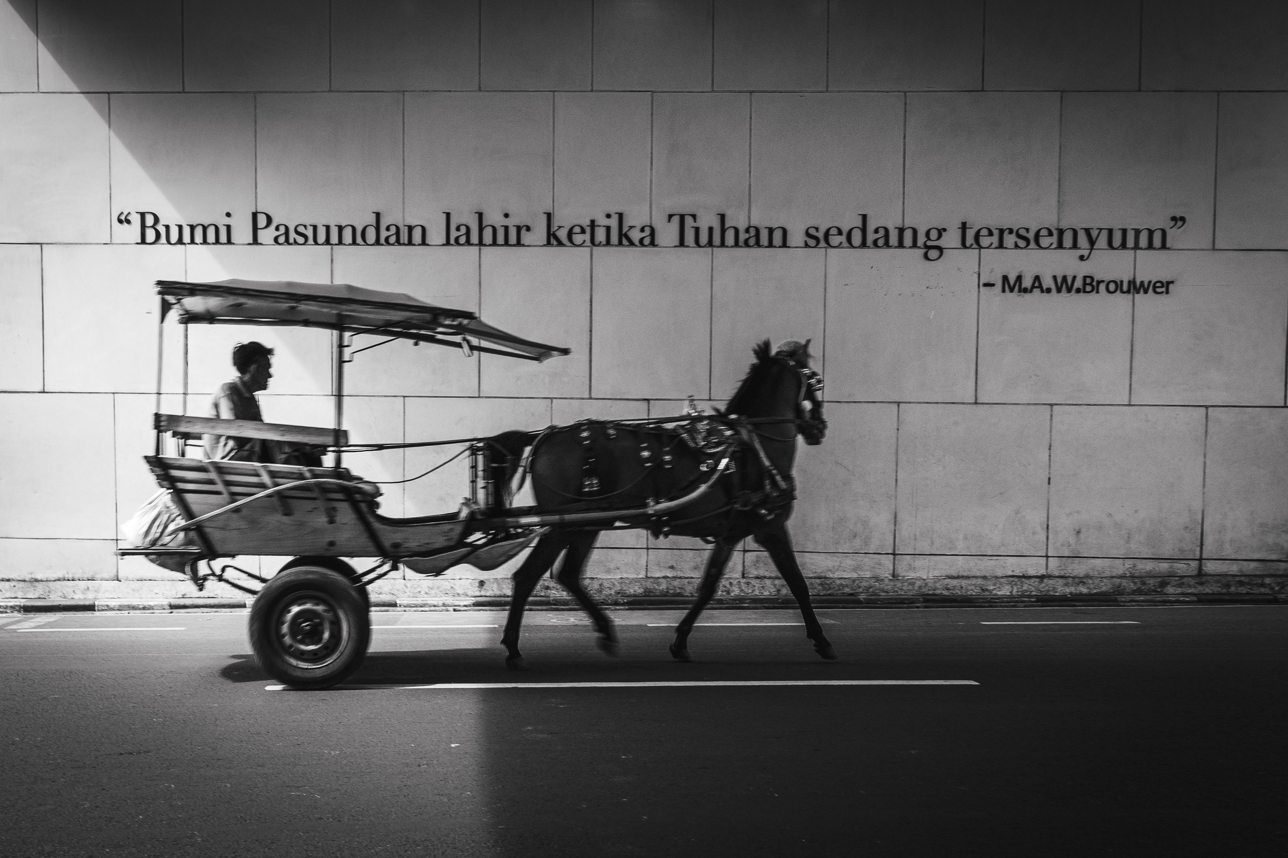 Sampah Plastik Merajalela, Kita Masih Bisa Menyelamatkan Bumi