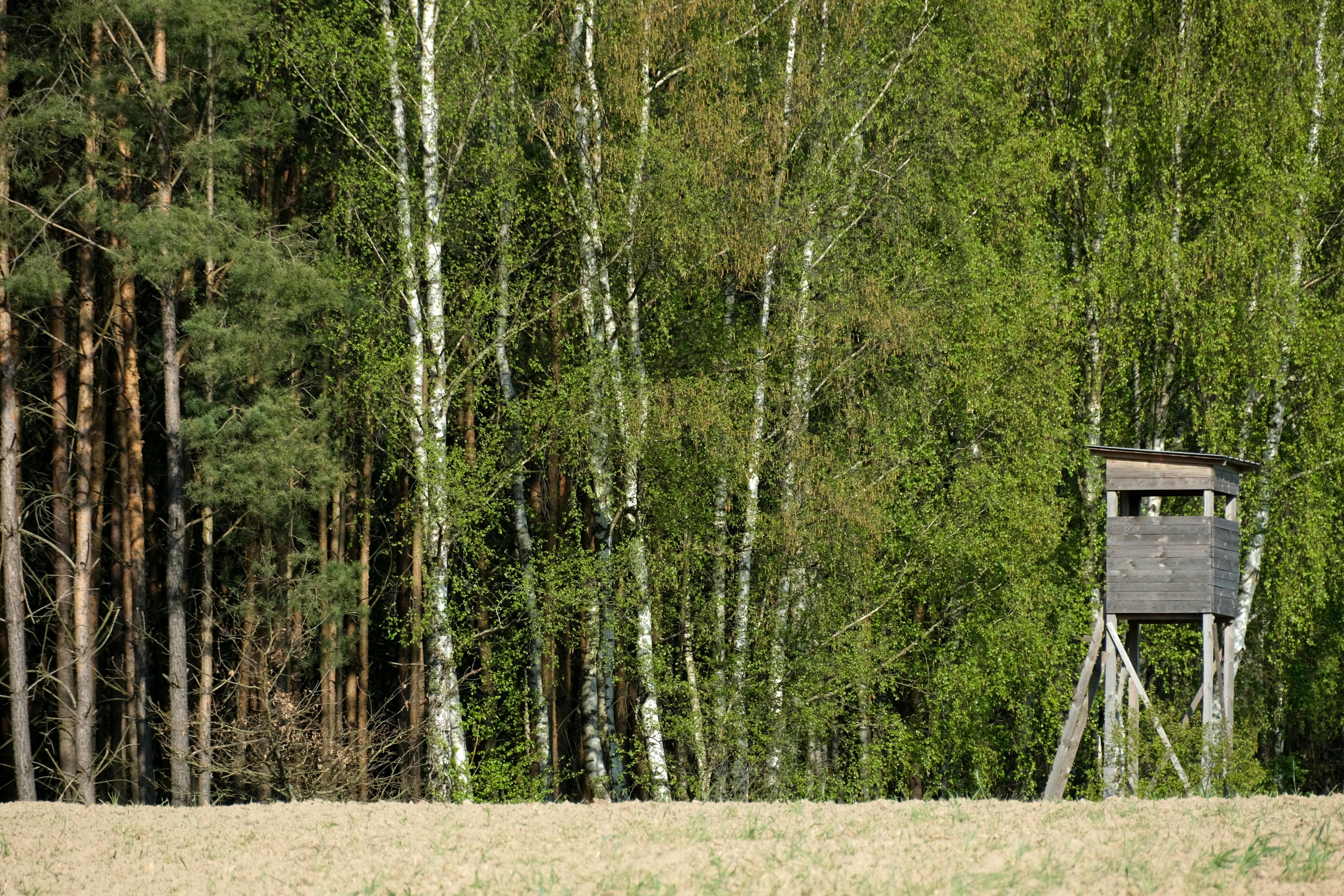All-Canada Show promotes hunting, fishing and outdoor adventure — Photo by Roman Biernacki on Pexels
