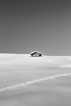 白雪皑皑的风景中，一座小屋独自伫立，营造出宁静的冬日景象