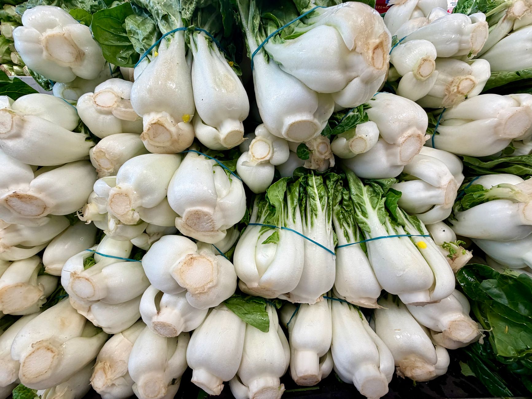 The Future of Asian Greens Is Being Rewritten by Genetic Engineering