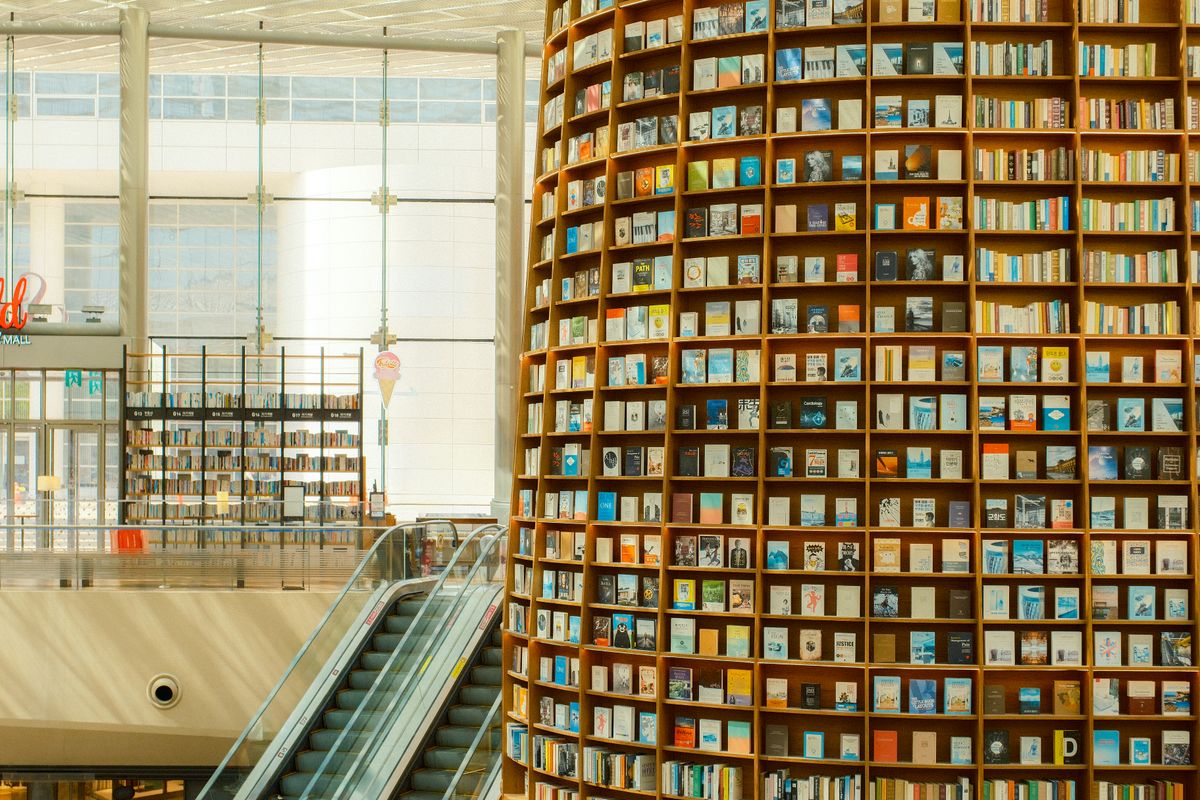 Modern Library Interior with Curved Bookshelves · Free Stock Photo