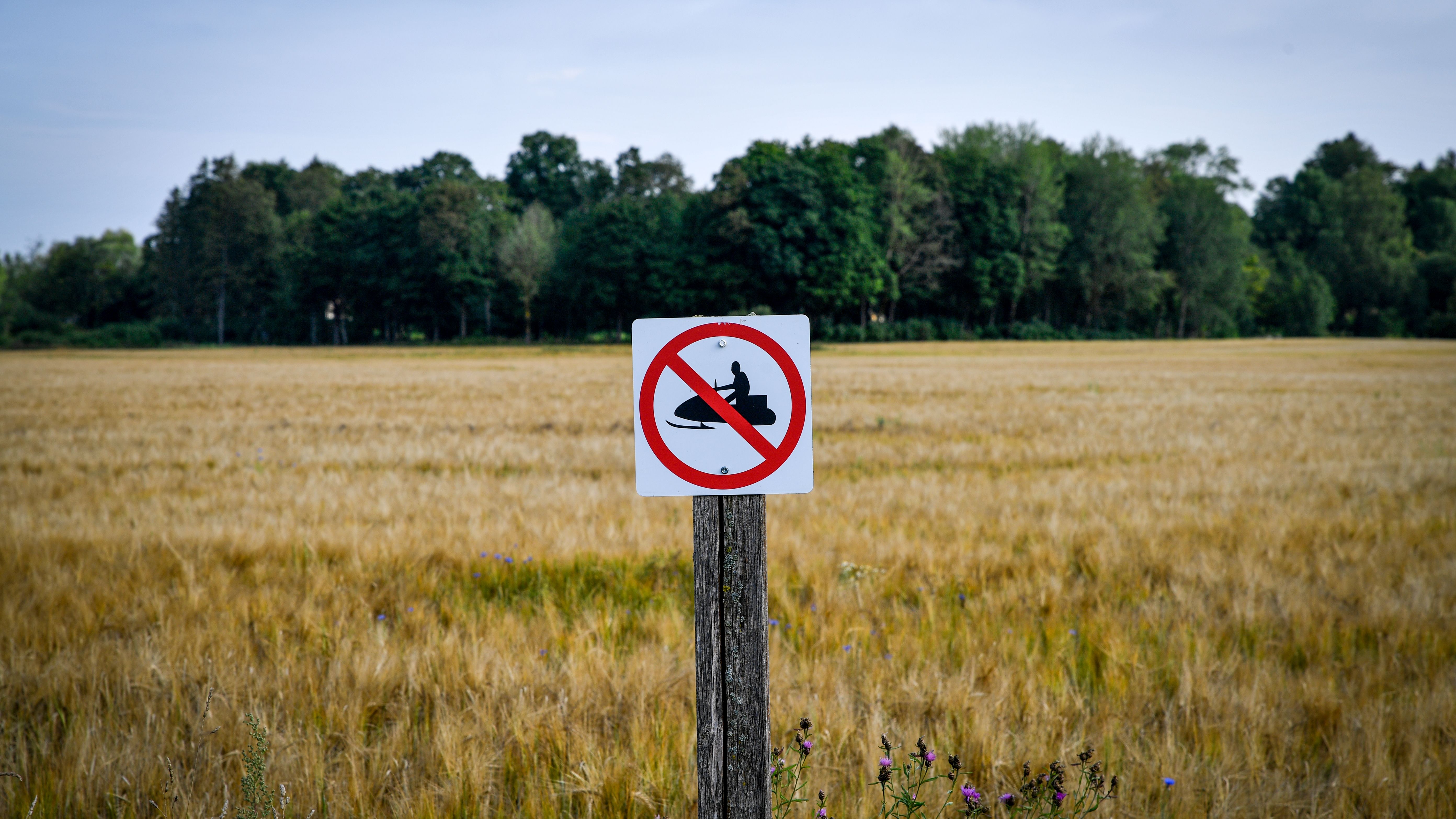 How Higgsfield AI Became 'Shitsfield AI': A Cautionary Tale of Overzealous Growth Hacking — Photo by Margo Evardson on Pexels