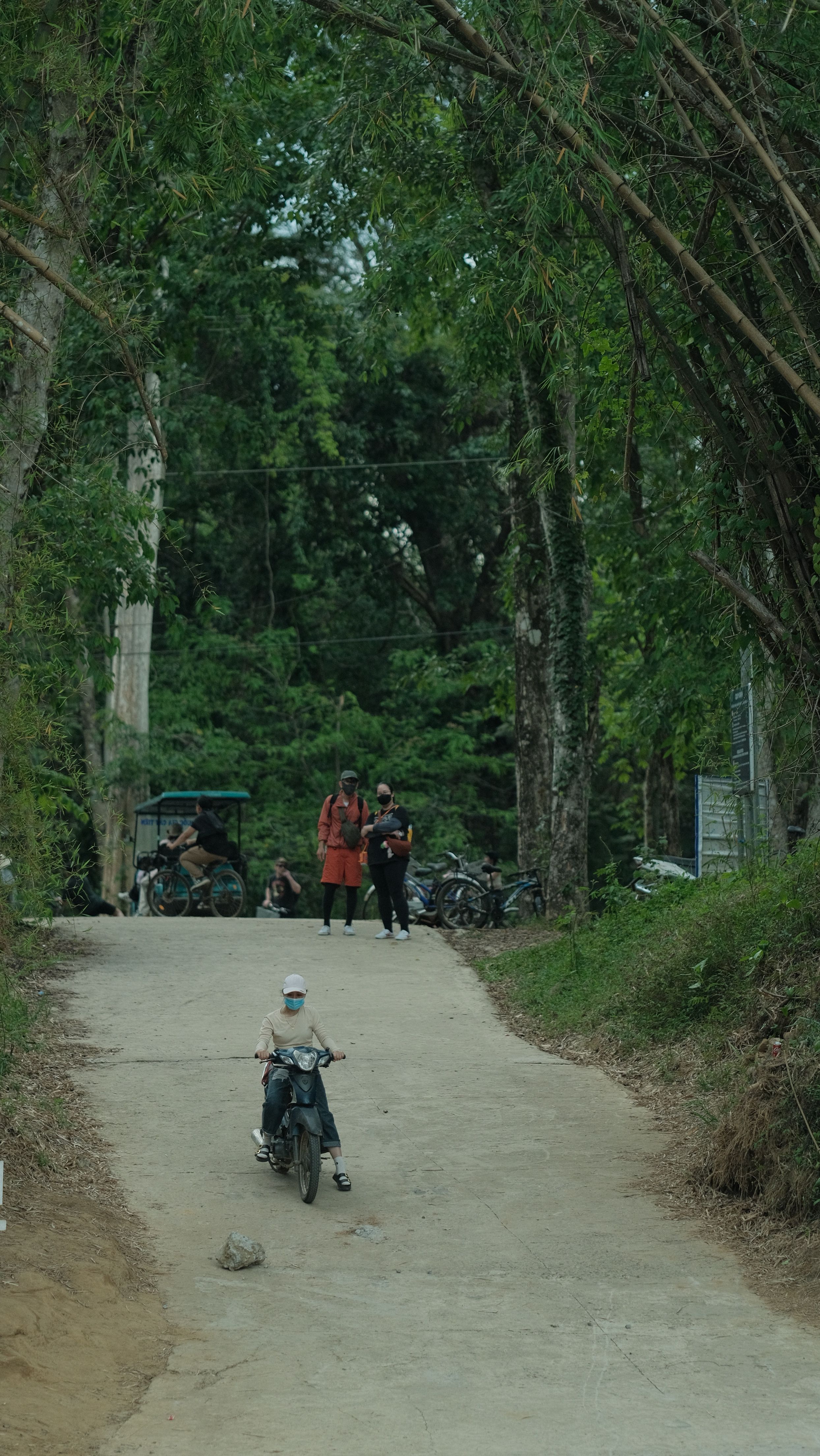 Serene rural scene with a motorbike rider on a forested path, surrounded by trees.