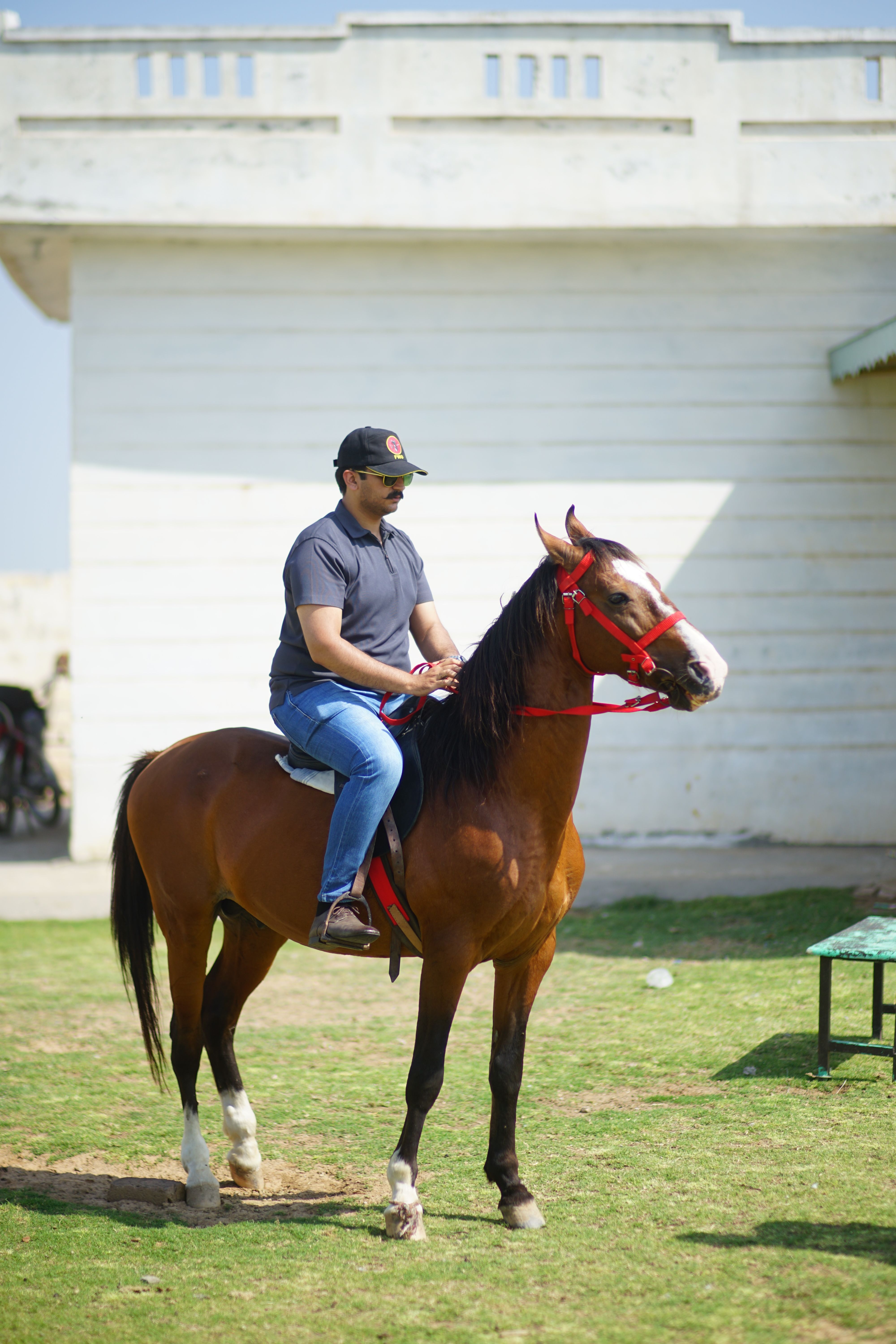 Man Riding a Brown Horse Outdoors in Sunlight · Free Stock Photo