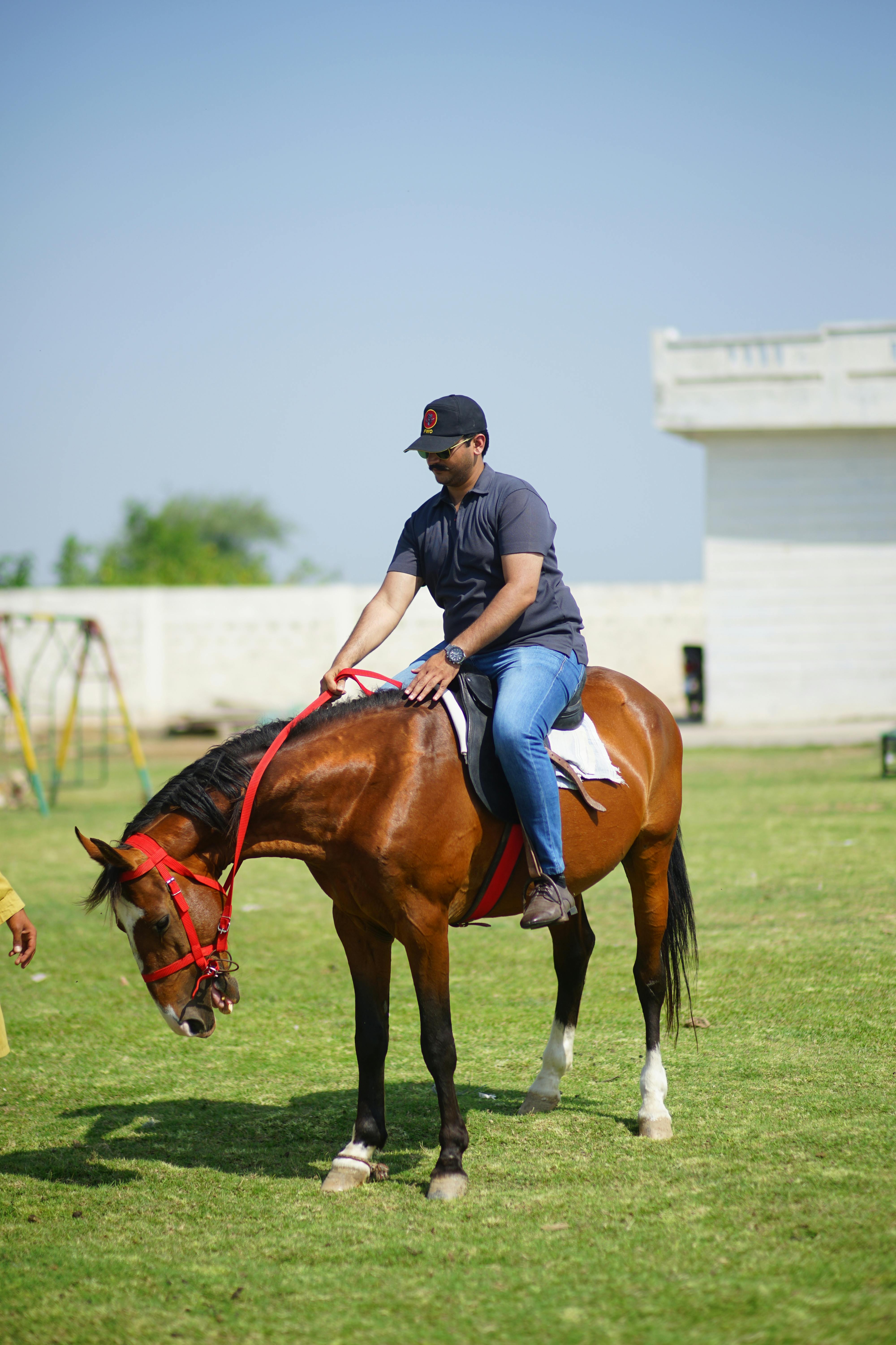 Horse Riding Its Benefits