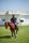 horse riding