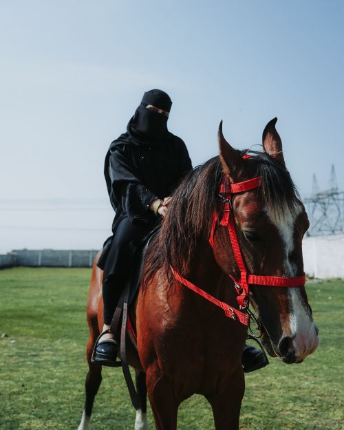 Free A woman wearing a black hijab rides a chestnut horse in a grassy outdoor setting. Energetic and serene. Stock Photo