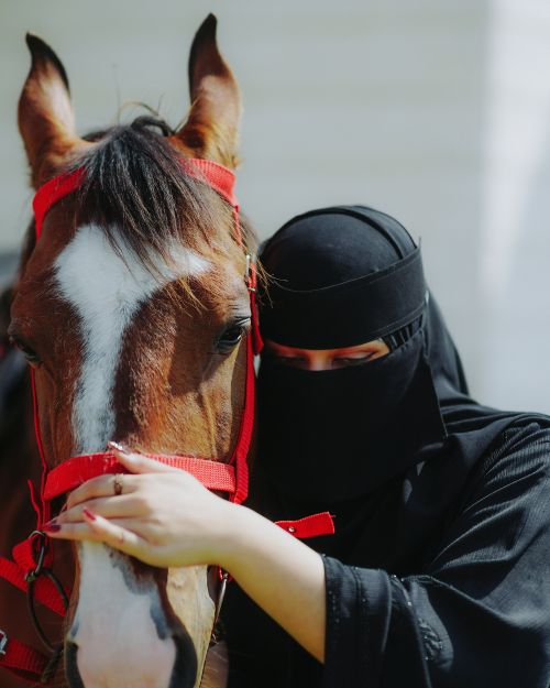 Free A woman wearing a black hijab gently holding a chestnut horse outdoors on a sunny day. Stock Photo