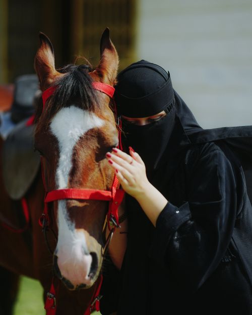 Free A woman in a black hijab gently strokes a chestnut horse outdoors, showcasing cultural equestrian fashion. Stock Photo