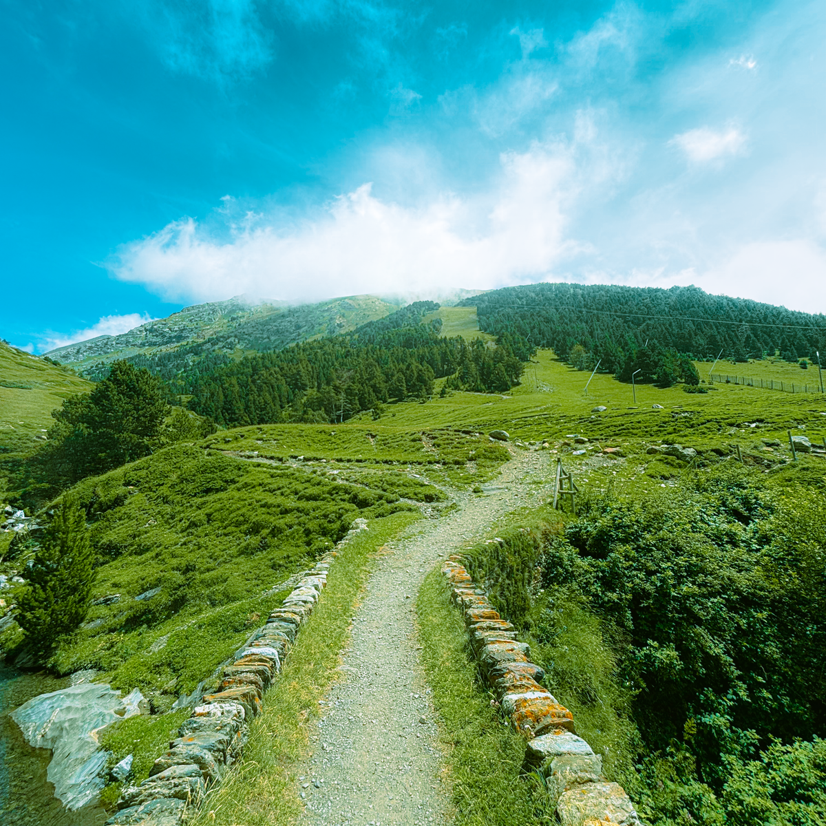 65L Trekking Sırt Çantası
