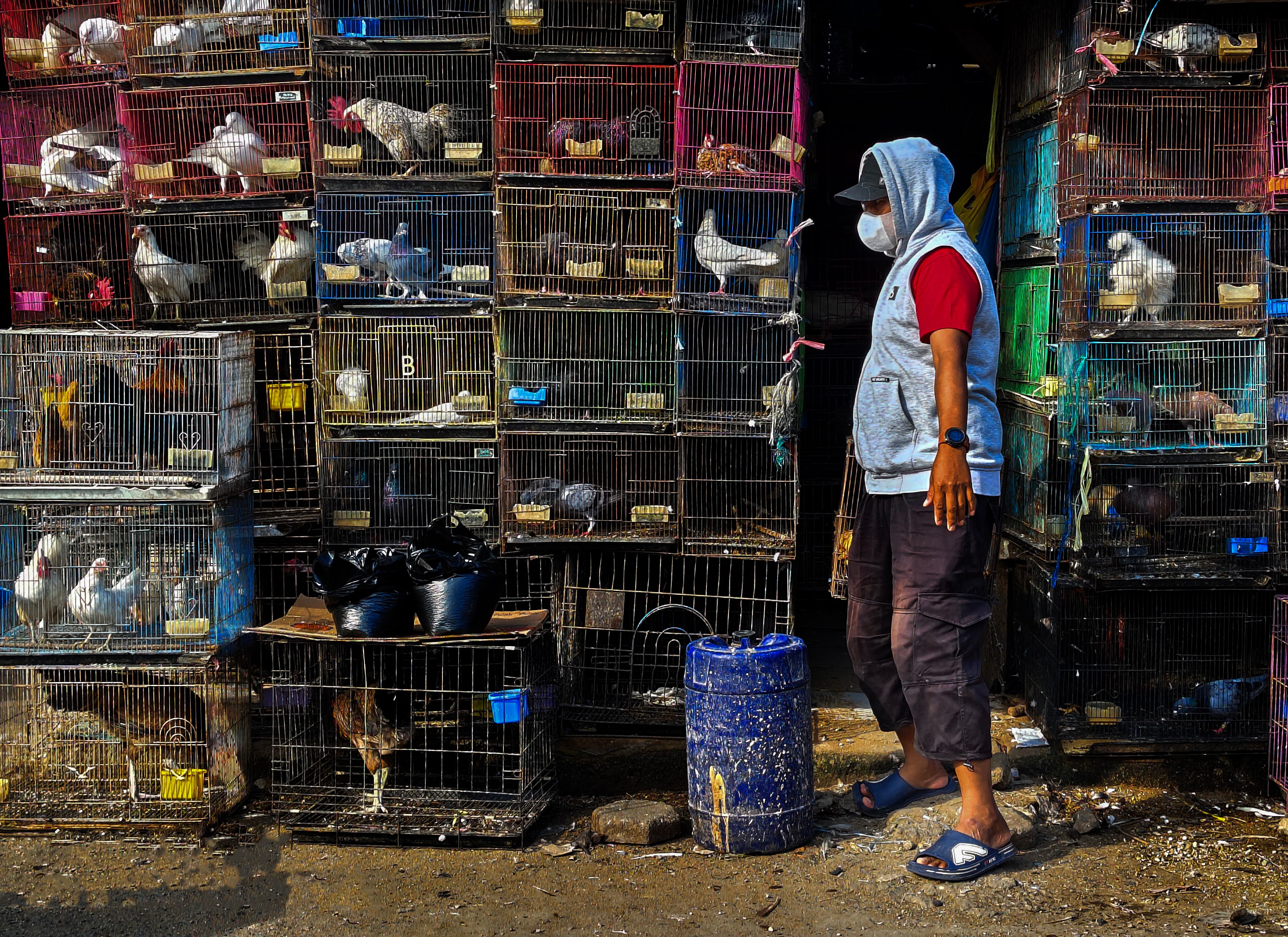 A person observing bird cages at a vibrant market in Jawa Barat, Indonesia.