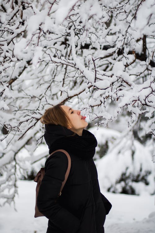 黑夹克的女人站在白雪覆盖的白树附近