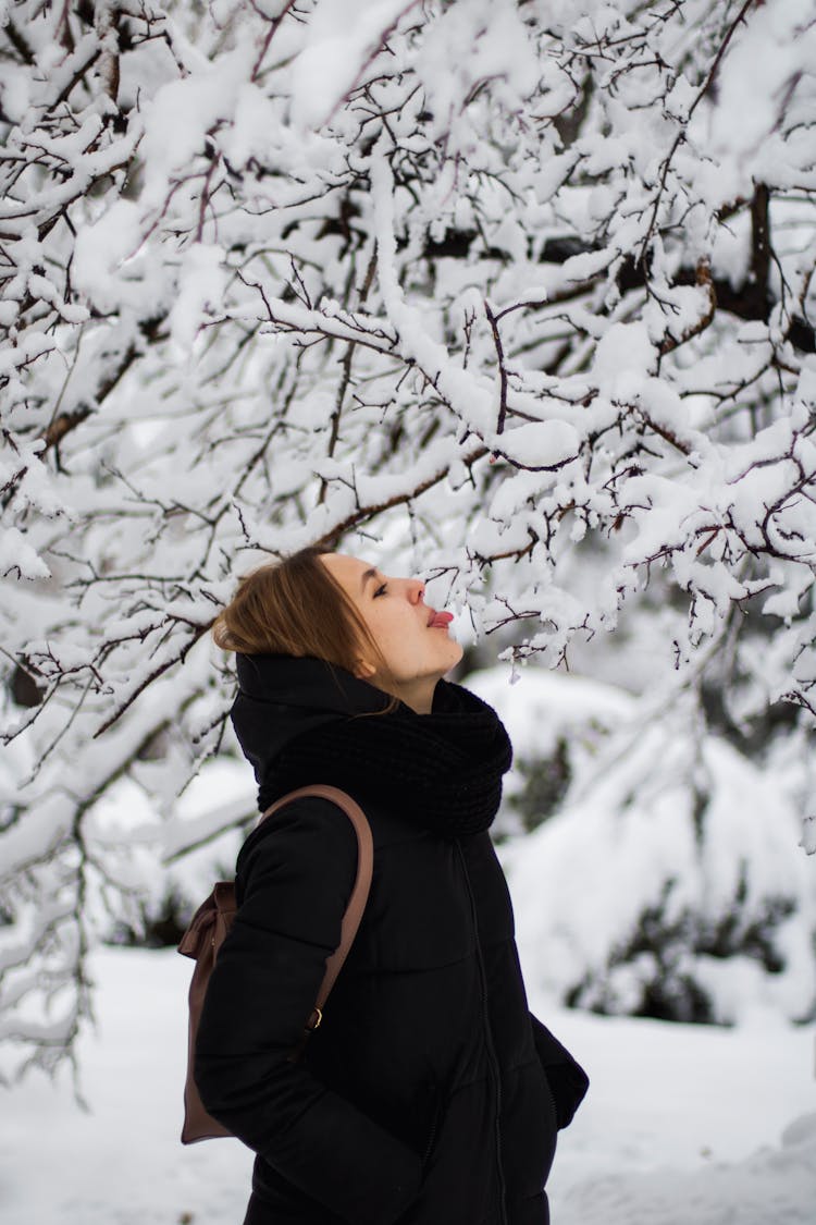 Woman In Black Jacket Standing Near White Tree Covered With Snow