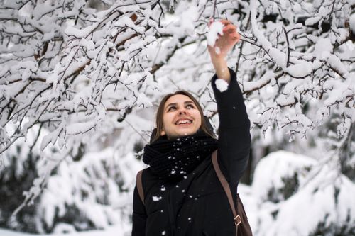 Free A joyful woman reaches for snow on tree branches in a winter wonderland, smiling warmly. Stock Photo