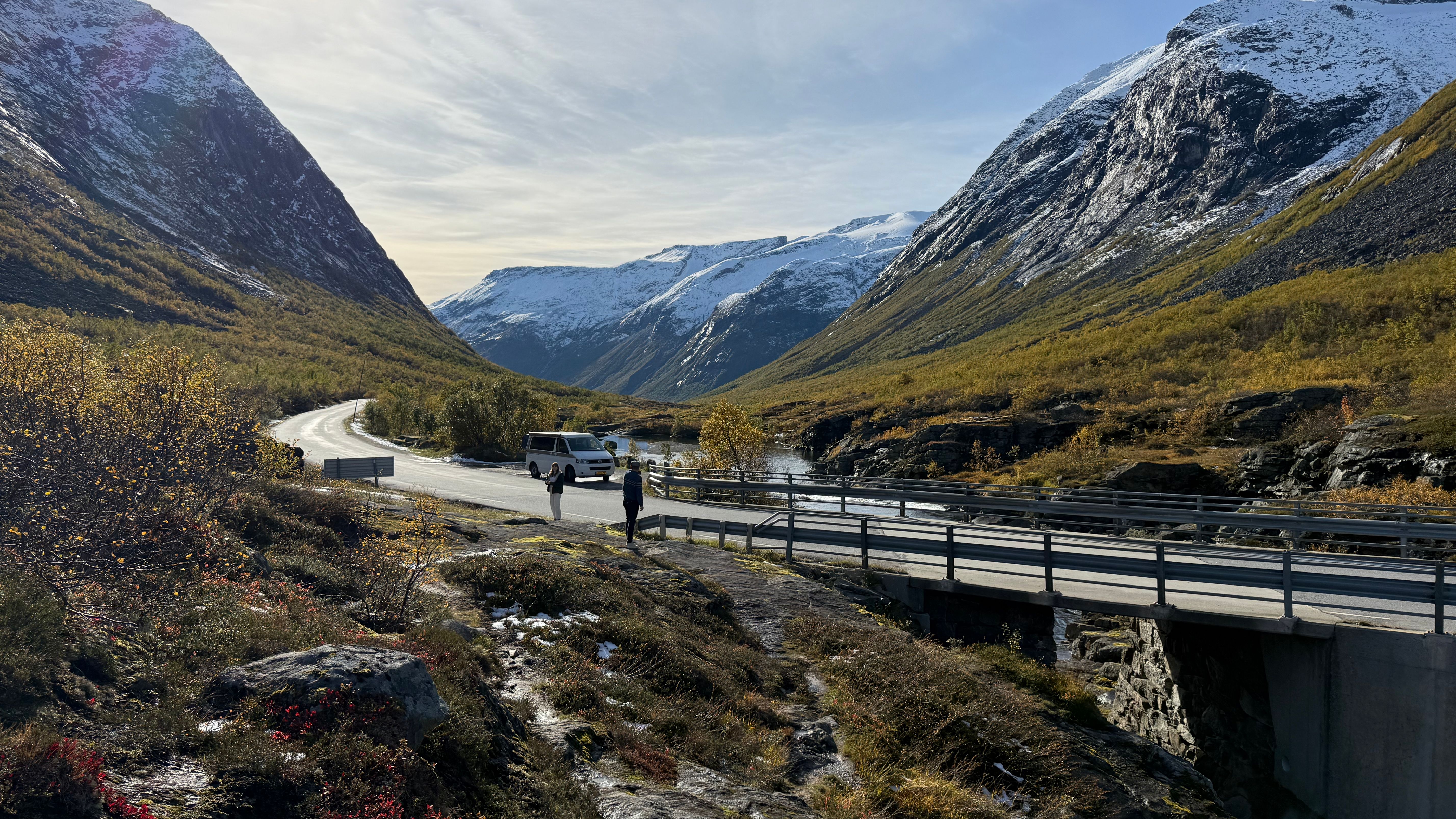 Iconic Flåm Railway train winding through a lush valley in Norway