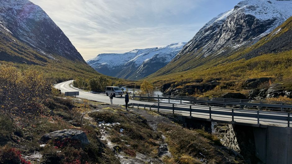 Iconic Flåm Railway train winding through a lush valley in Norway