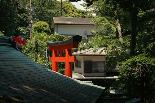 Free Red Torii gate surrounded by greenery in Fujisawa, Kanagawa, Japan. Stock Photo