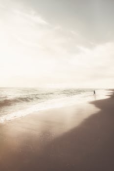 Spiaggia di Miami con palme e cielo azzurro