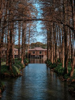 Lakeside cabins nestled among tall trees create a tranquil and picturesque setting, ideal for nature lovers.