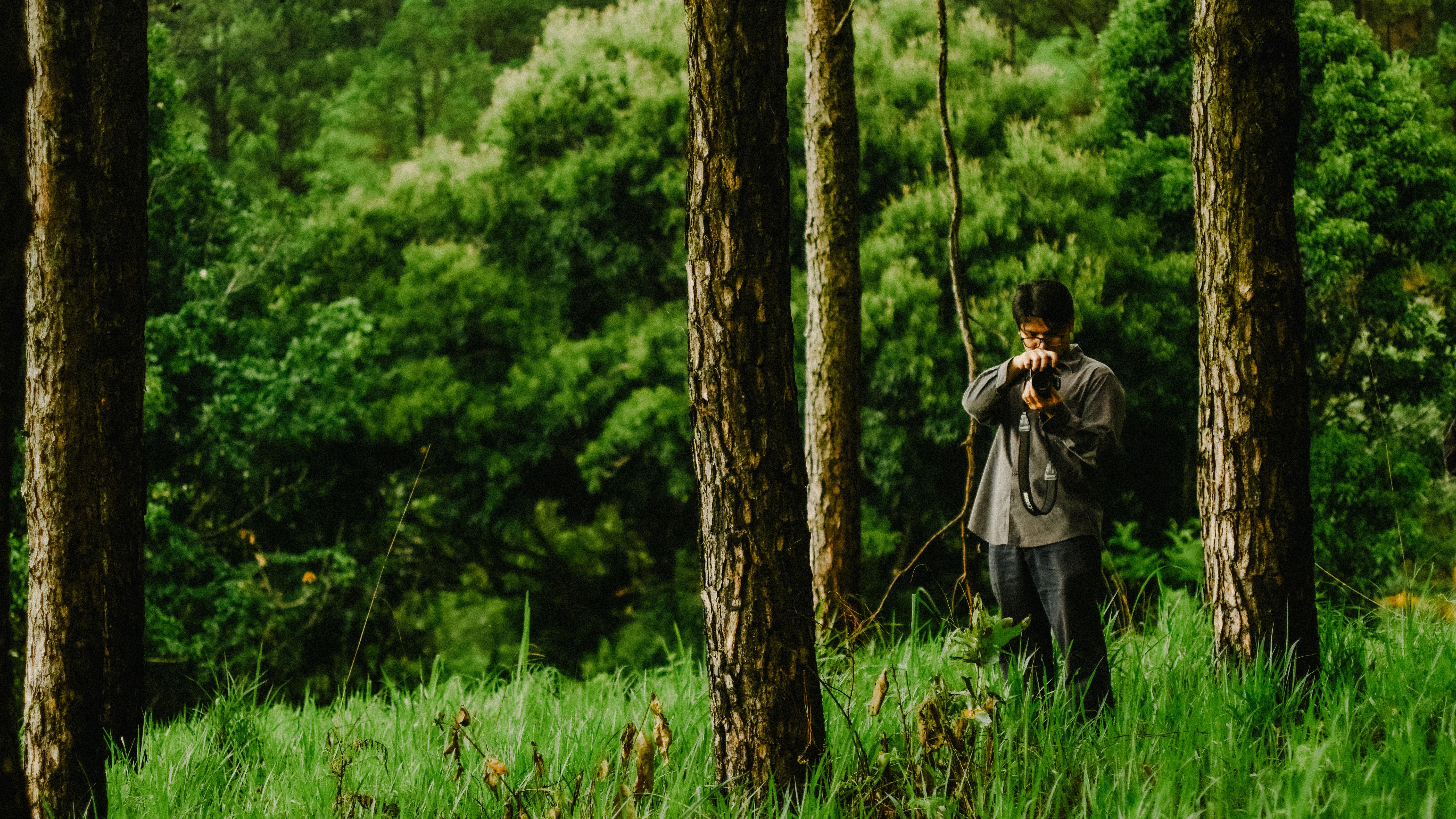 A photographer in the lush green forests of Da Lat, capturing nature's beauty through the lens.