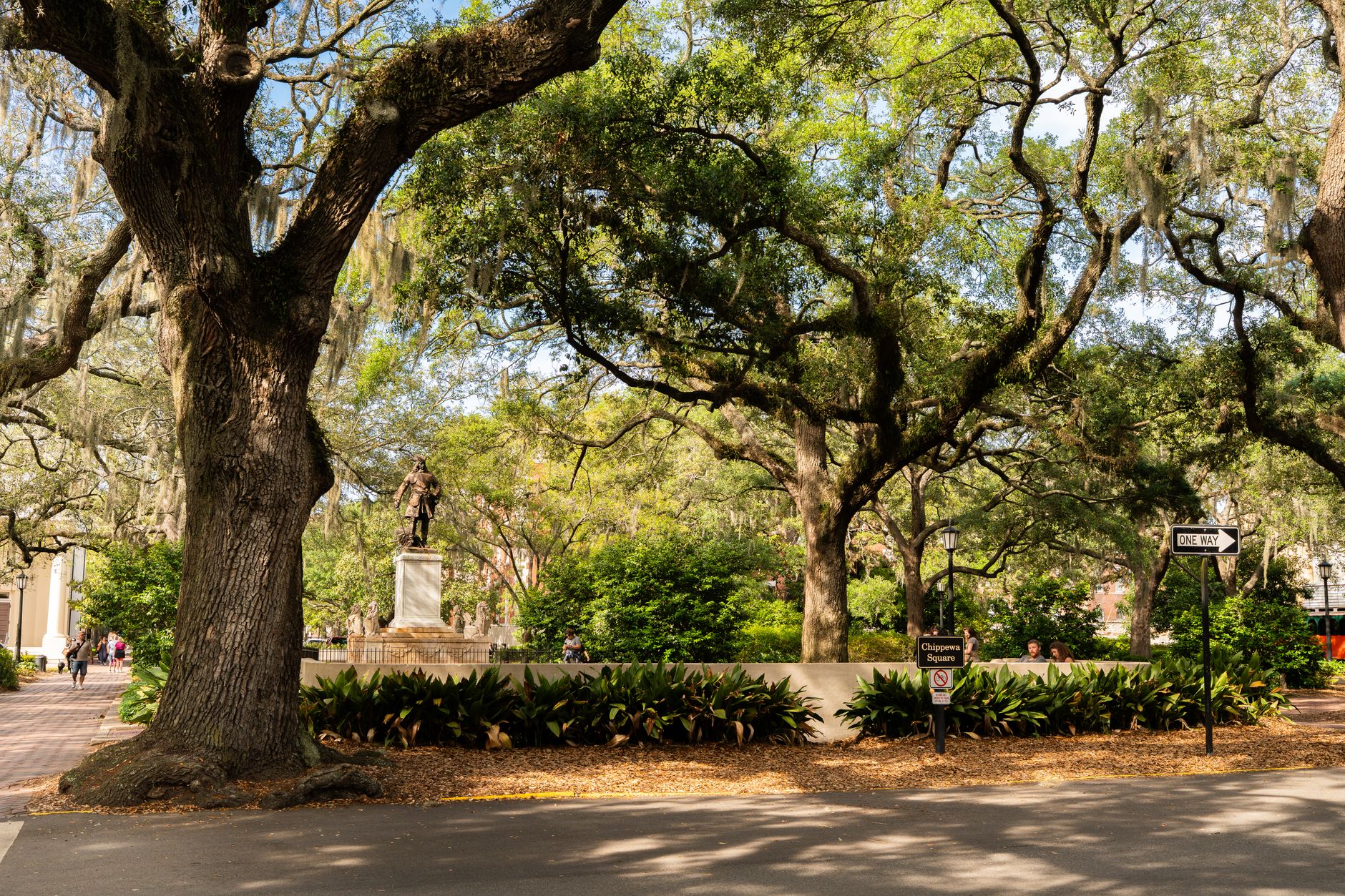 Savannah photo 4