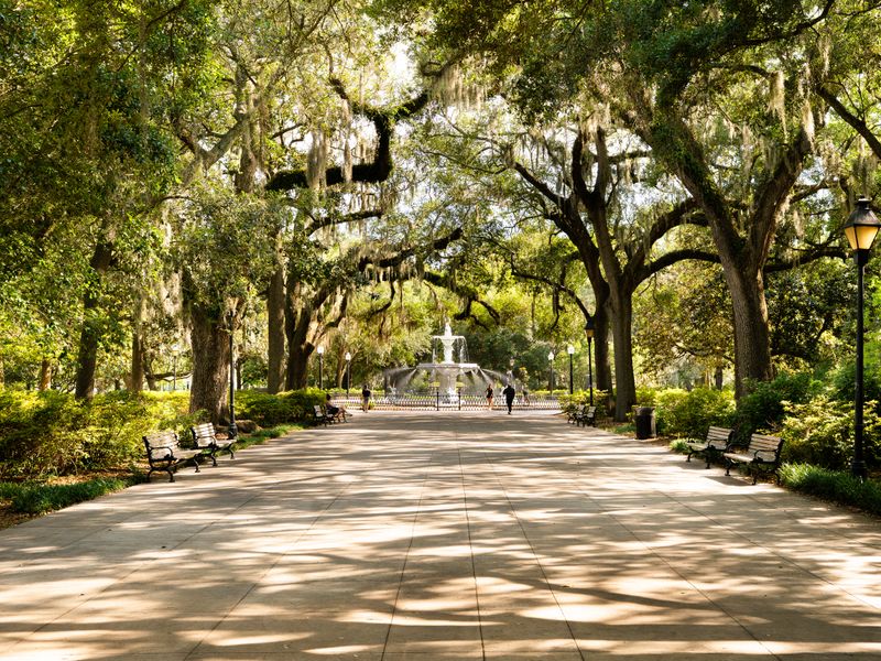 Walkway shaded by Spanish moss draped oaks in Savannah, Georgia