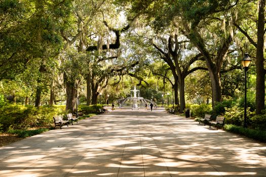 Oak Alley plantation day trip — New Orleans