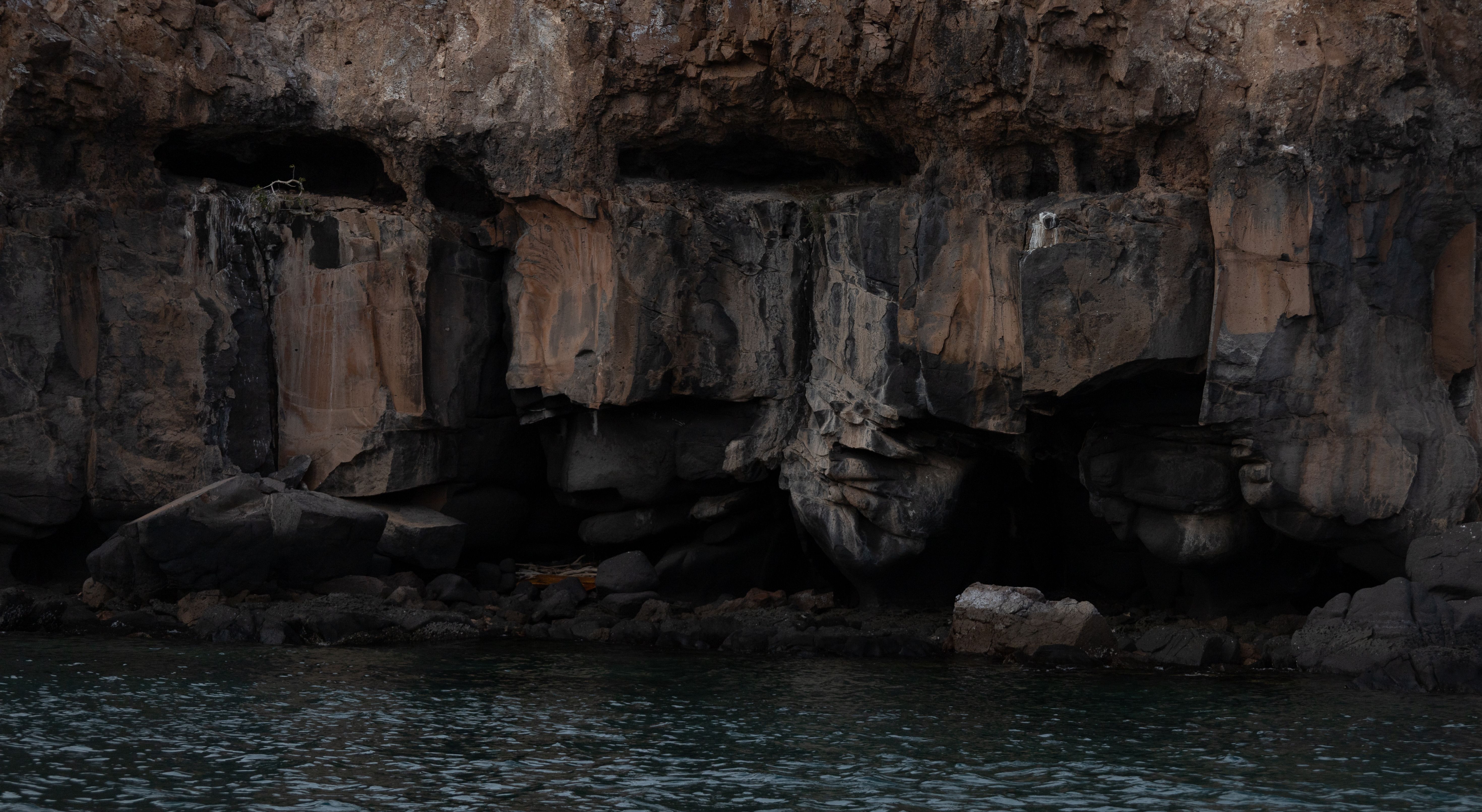 Foto: Josué Rodríguez / Pexels