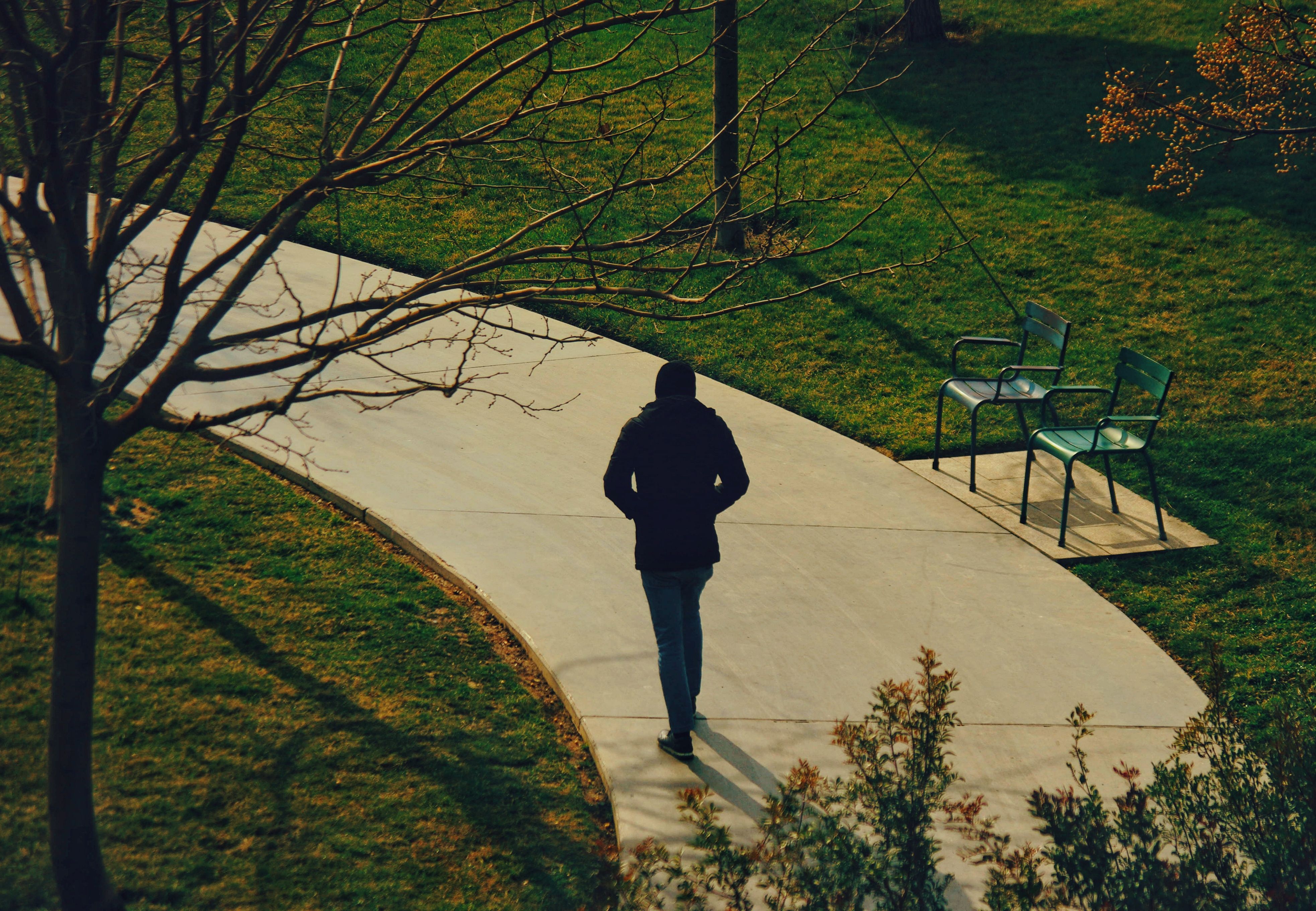Person walks alone on a winding park path surrounded by autumnal trees.