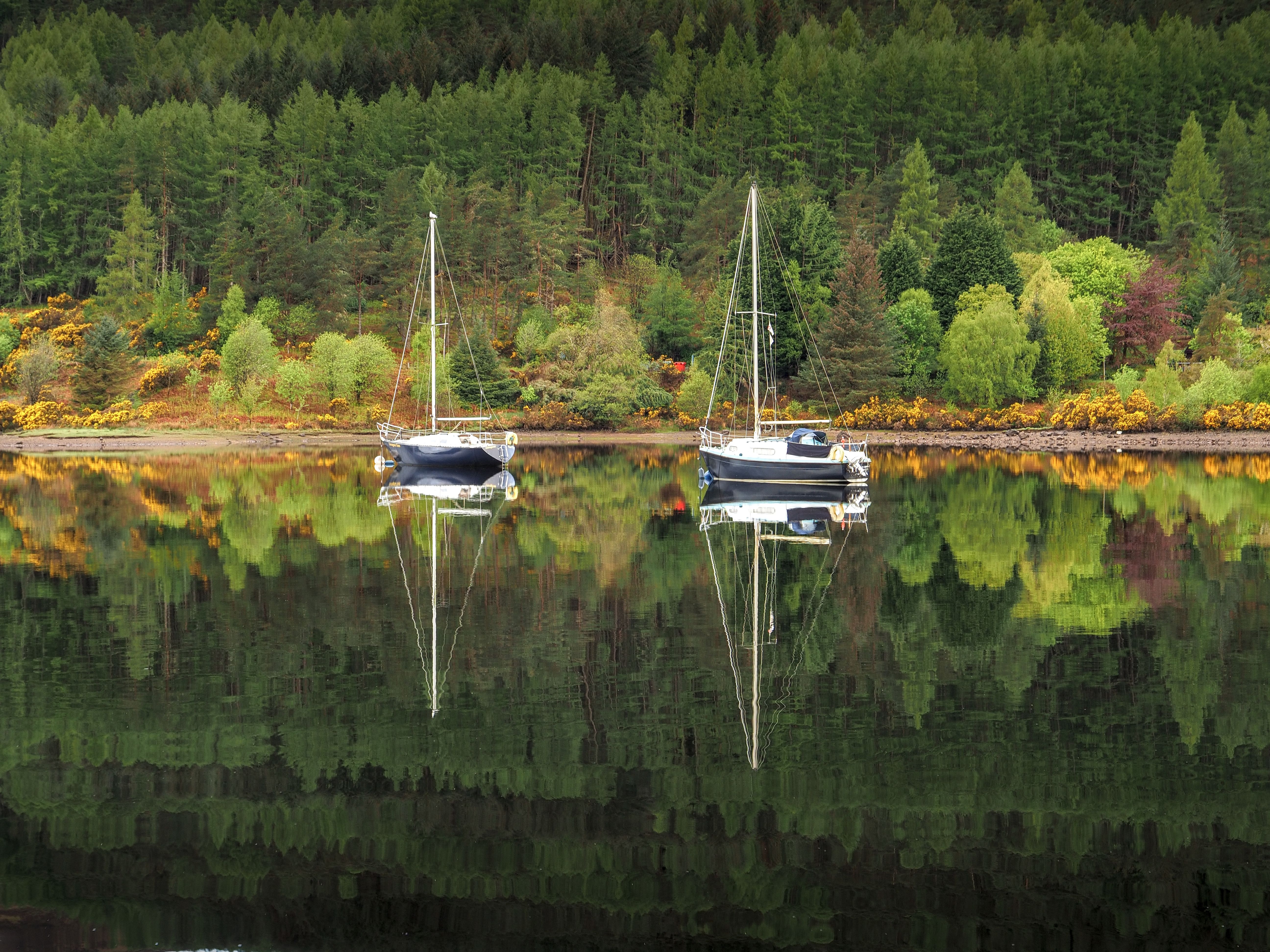 Glen Affric National Nature Reserve