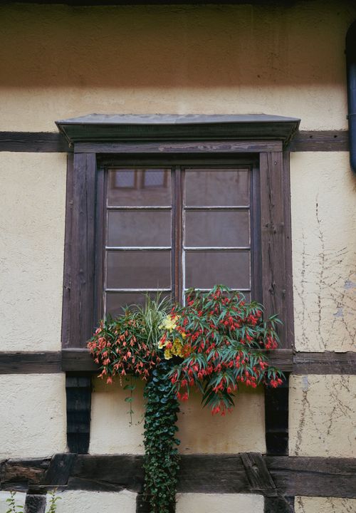 Free Vintage window adorned with vibrant flowers and greenery, showcasing rustic charm. Stock Photo