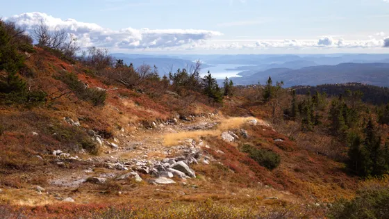 Fall color from the Oberg Mountain overlook above Lake Superior
