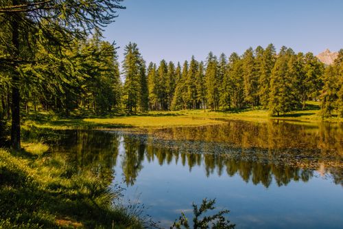 Free Tranquil view of a forest and lake in Cervières, France under clear skies. Stock Photo