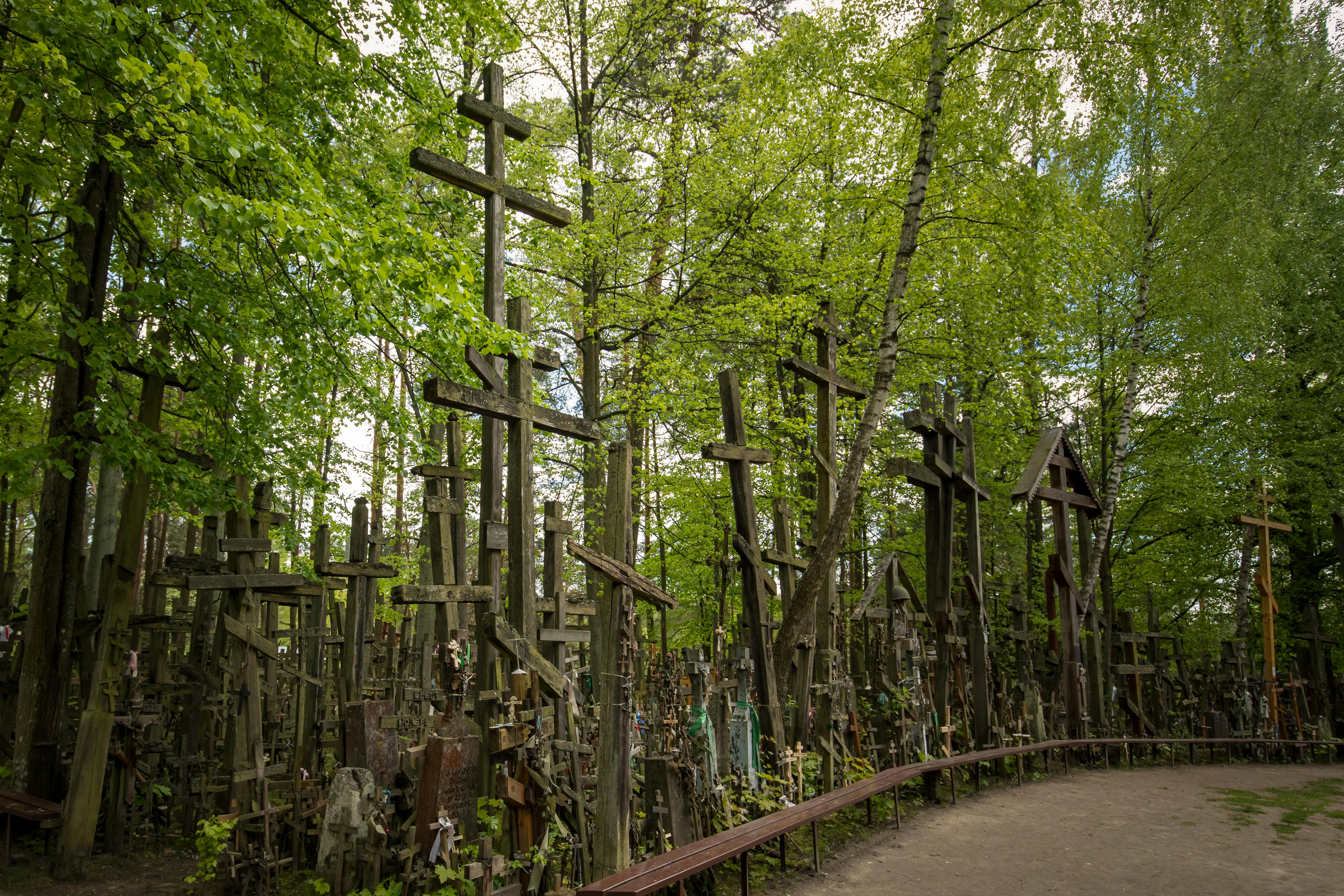 Kryžių Kalnas (Hill of Crosses)