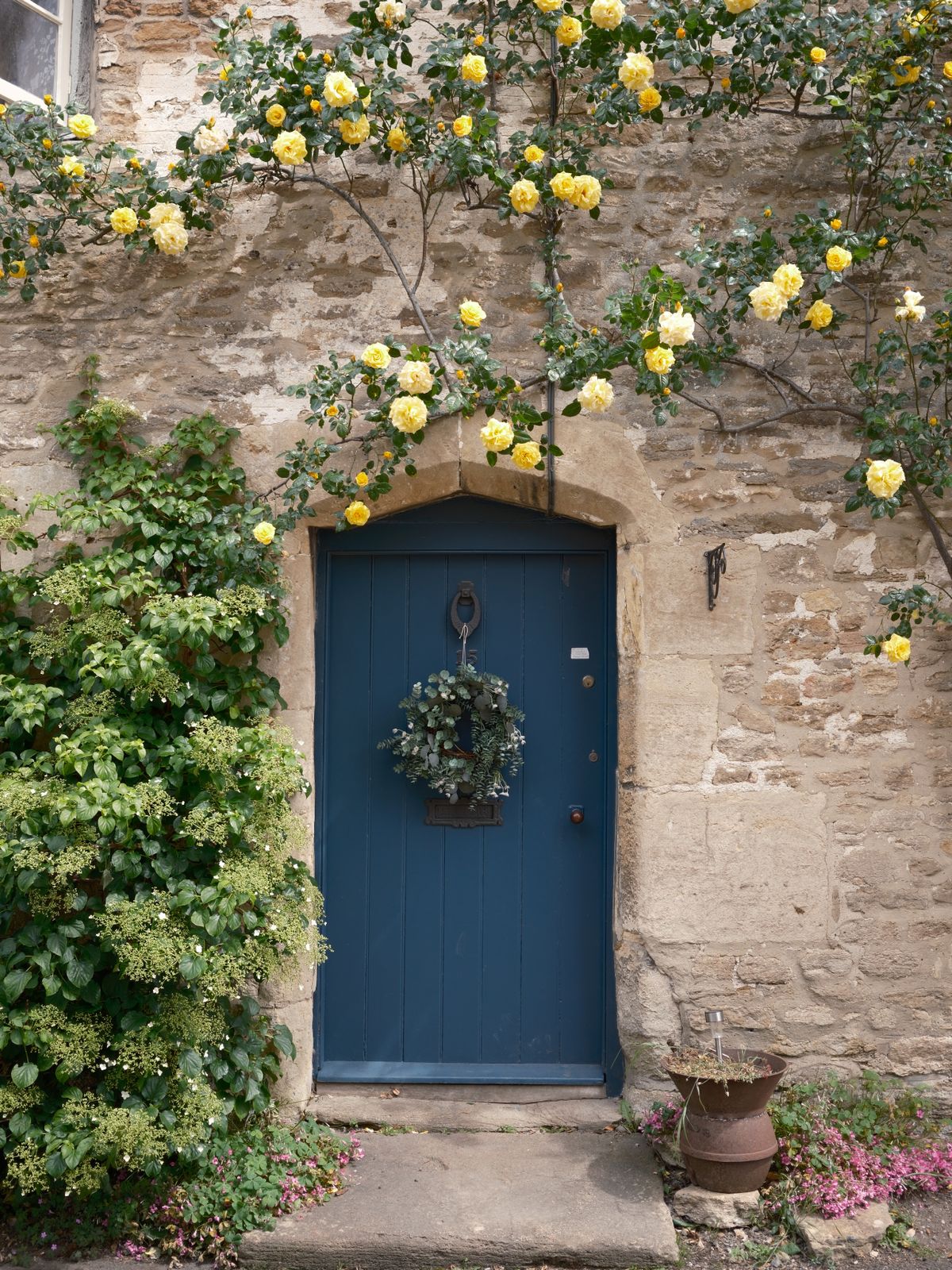 Beautiful blue door adorned with yellow roses in a classic Lacock stone cottage. Stock Photo.