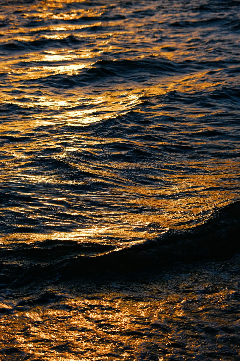 Golden Sunset Reflection on Ocean Waves · Free Stock Photo