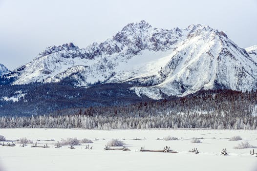 白雪覆盖的山脉与针叶林令人叹为观止，是完美的冬季自然主题